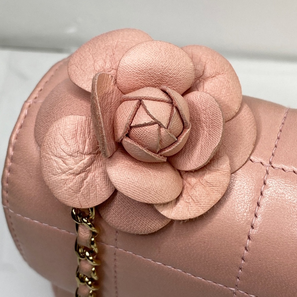 CHANEL Rare Pink Lambskin Single Flap Crossbody - Picture 11 of 16